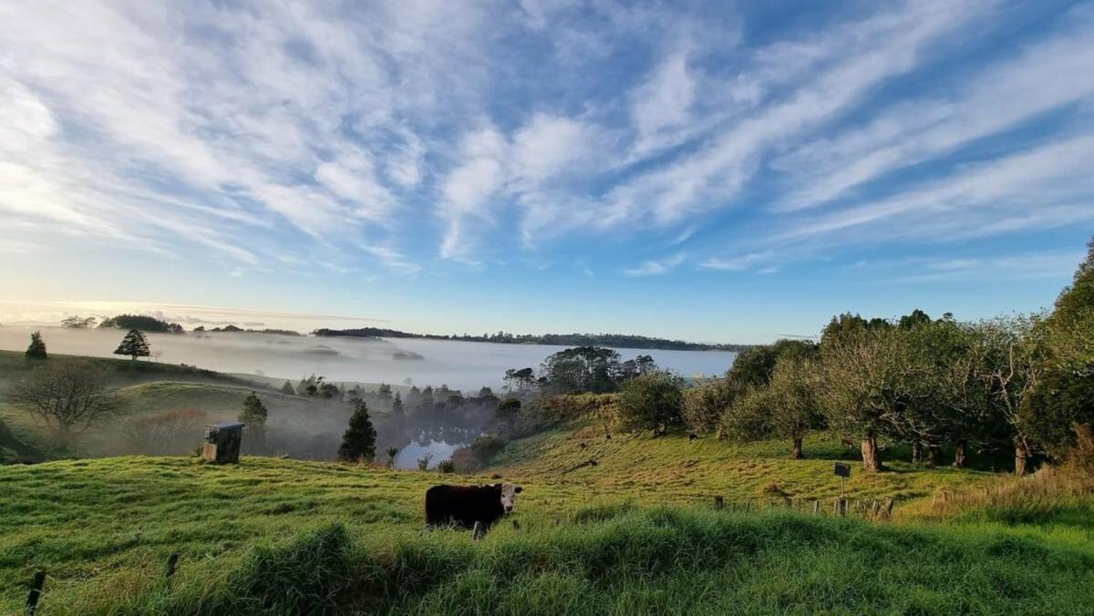 The Kauri Getaway By Tiny Away Villa Waitoki ภายนอก รูปภาพ